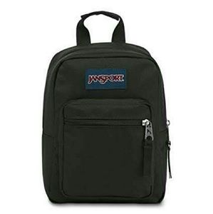 Jansport insulated lunch bag